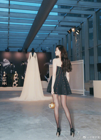 蓝鸟加速器永久免费服务展示